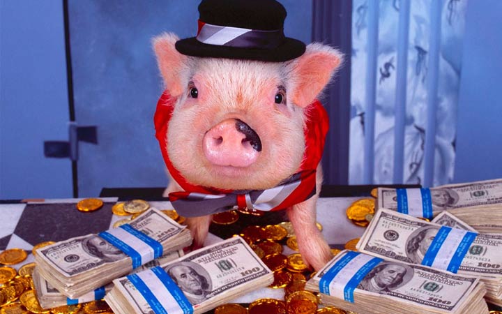 Финансы в год свиньи