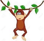 обезьяна на лиане