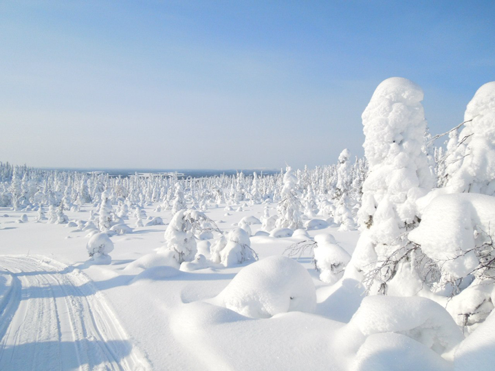 Зима в Карелии
