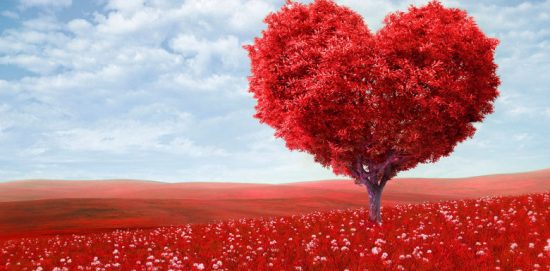 красное дерево в форме сердца на красной поляне