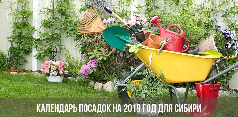 Календарь посадок на 2019 год для Сибири