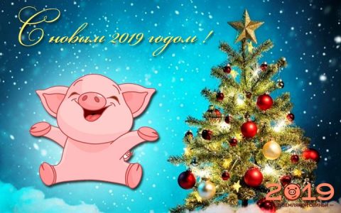 Новогодняя свинка на 2019 год