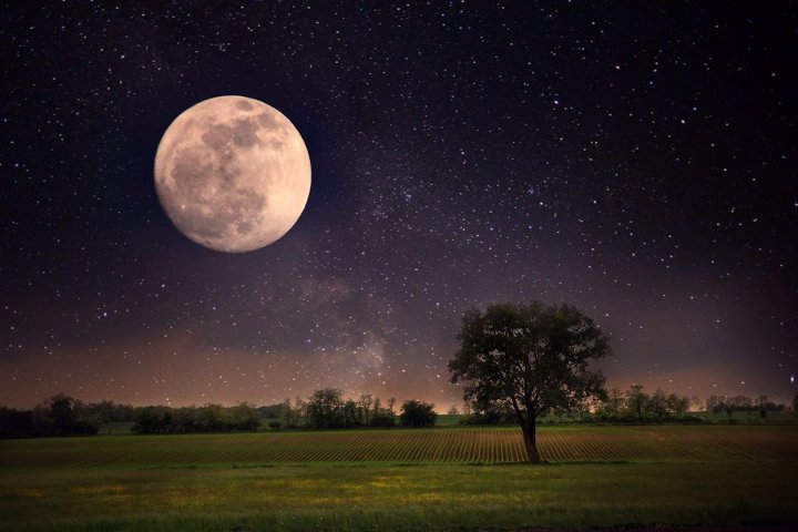 поле на фоне полной луны