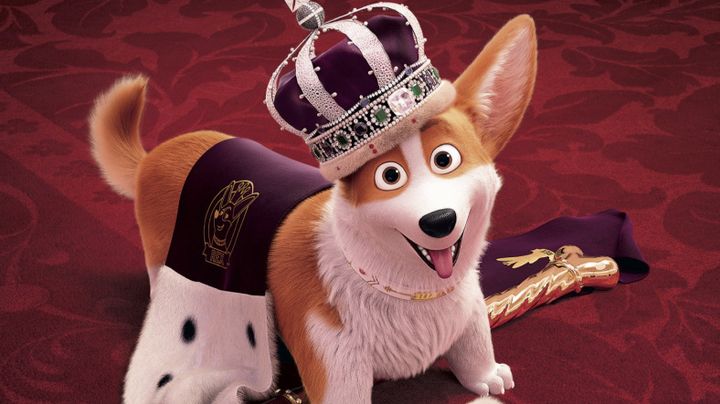Королевский корги – мультфильм 2019 года
