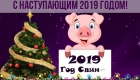 Новогодняя открытка со свинкой на 2019 год