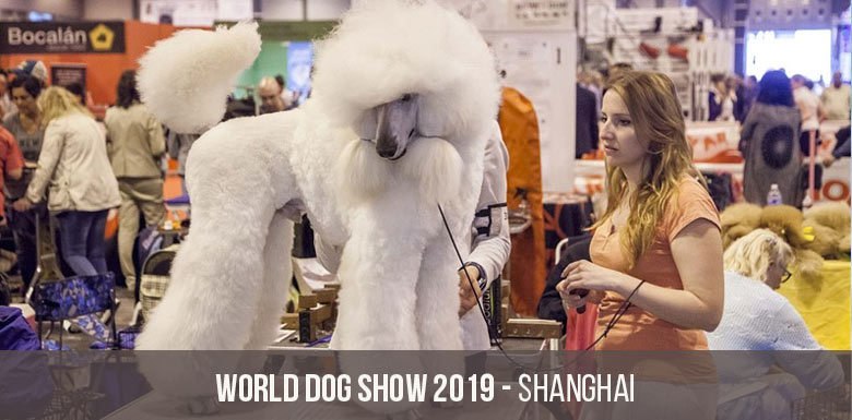 Чемпионат мира собак World Dog Show в 2019 году