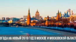 Погода на Новый 2019 год в Москве и Московской области