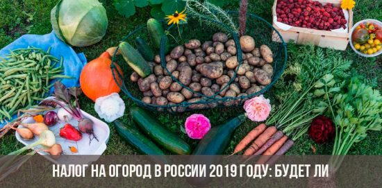 налог на огород в россии 2019 будет ли