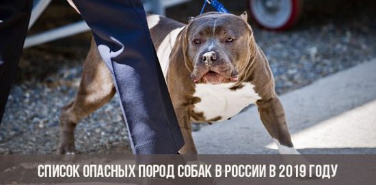 Список опасных пород собак в России в 2019 году